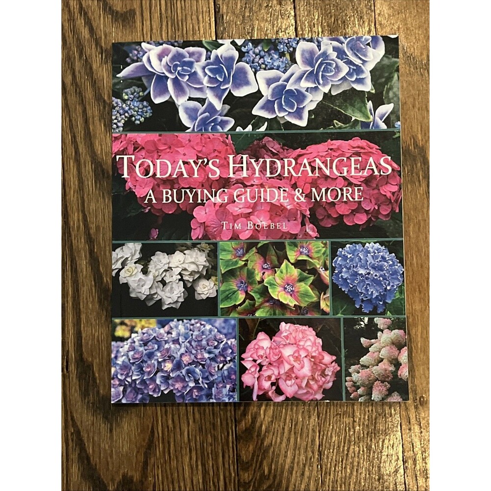 Todays Hydrangeas: A Buying Guide  More - Paperback By Boebel, Tim - Excellent